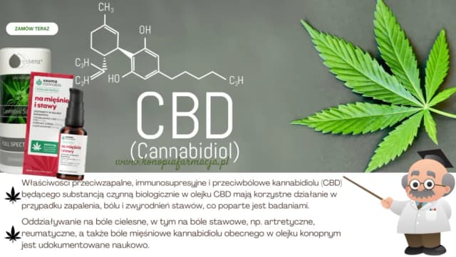 Jaki olejek na ból stawów? Naturalne sposoby na ulgę w bólu Jaki olejek na ból stawów? Naturalne sposoby na ulgę w bólu